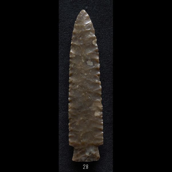 item with id: 28